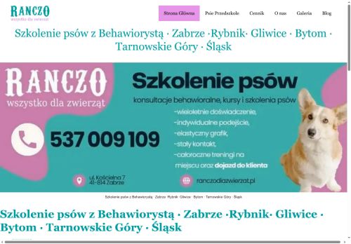 Szkolenie i Tresura psów z Behawiorystą Zabrze Gliwice Bytom